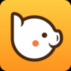 斑豬APP