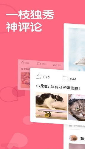 皮皮蝦APP(爆笑熱辣段子內(nèi)涵社區(qū))安卓版1