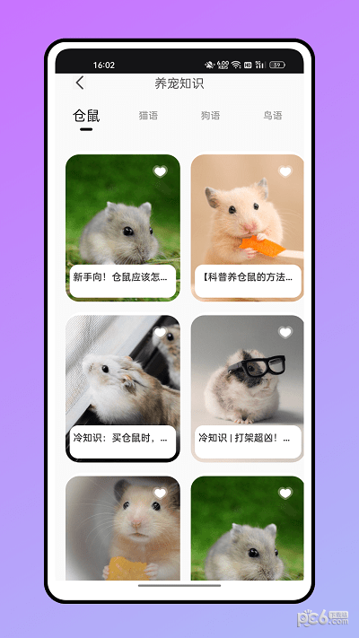 倉鼠翻譯器3