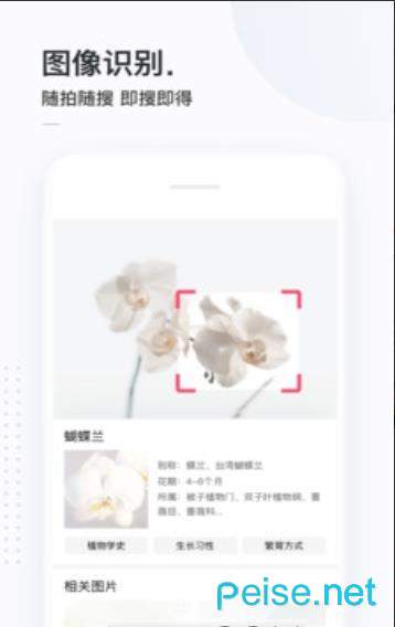 二哈搜索1.1.52