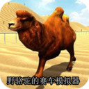 野骆驼的赛车模拟器app
