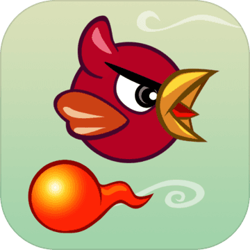 玩鸟过火app
