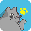 编程猫咪APP