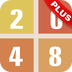 不一样的2048