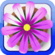 Flower Garden