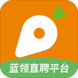 萝卜招聘app