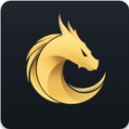 龙网dragonex