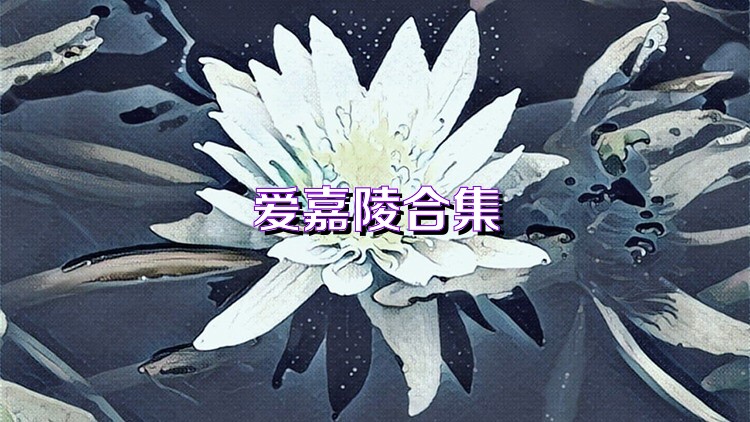 爱嘉陵合集