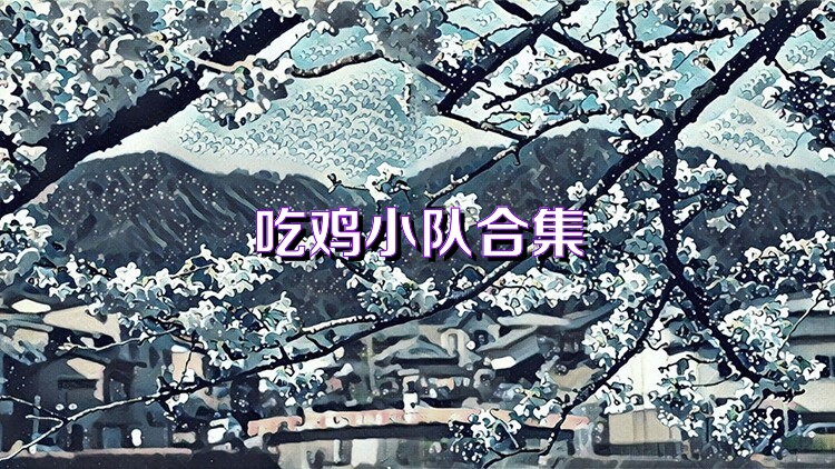 吃鸡小队合集