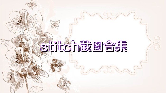 stitch截图合集