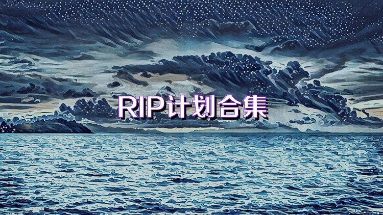 RIP计划合集