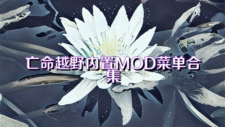 亡命越野内置MOD菜单合集