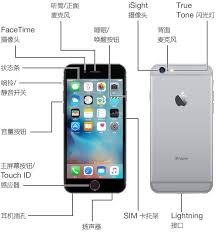 苹果6plus如何关闭APP使用移动数据