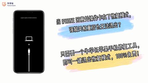 iPhone如何退出恢复模式