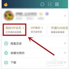 爱奇艺如何取消vivo手机的自动续费会员