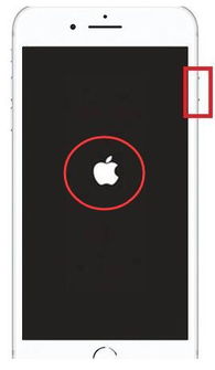 苹果手机如何强制关机并重启