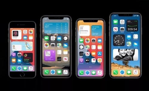 iPhone15如何启用应用程序自动更新功能