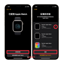 苹果手表重新配对手机步骤
