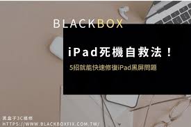 iPad黑屏问题如何解决