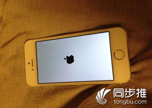 iPhone死机怎么办