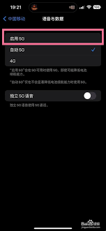 苹果手机5G设置位置