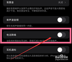 苹果12pro如何设置电话降噪功能