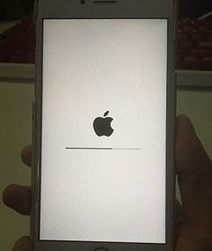 iphone密码忘记了怎么解决