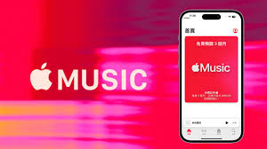 适用于iPhone(iOS17)的Apple Music使用技巧有哪些