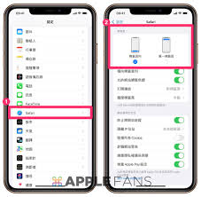 如何更新iPhone和Mac上的Safari浏览器