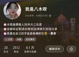 发布小红书如何赚钱（）