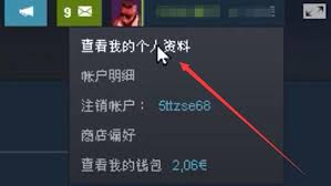 steam手机版交易链接在什么地方查看