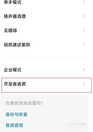 小米手机如何关闭开发者选项