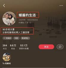 小红书涨粉最快技巧是什么