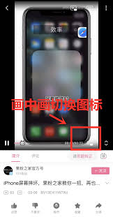 苹果iOS14画中画功能使用指南