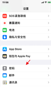 iOS17小技巧：如何自动清理iPhone验证码信息