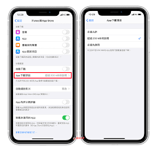 无法在iPhone上下载或更新应用