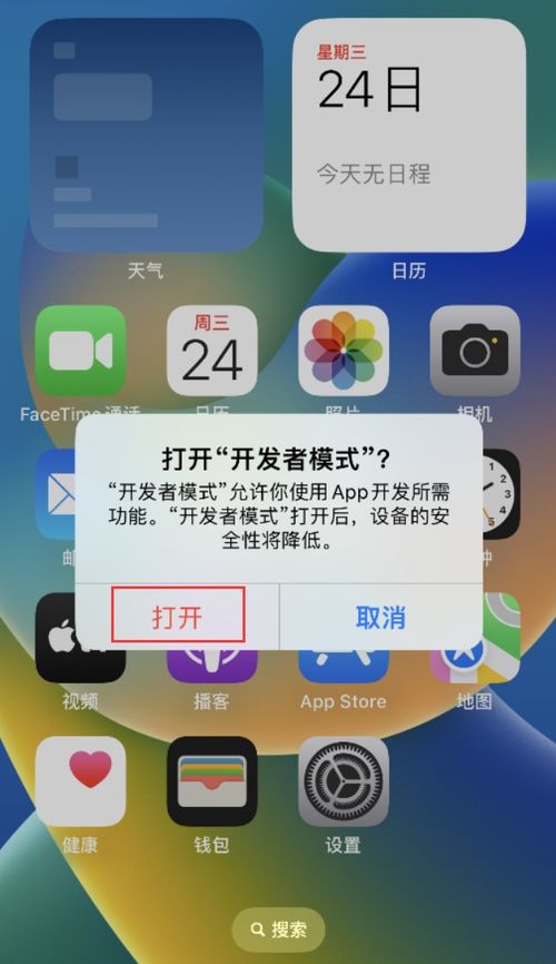 iOS 17开发者模式如何启用