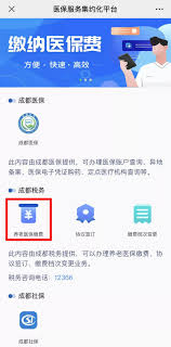 医保缴费后如何查询