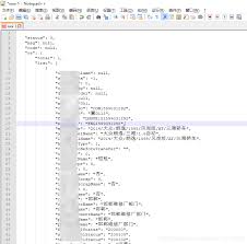 notepad能否格式化json