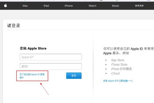 苹果手机id密码忘记了怎么解决
