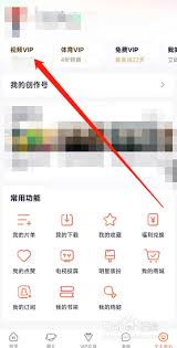 腾讯视频VIP自动续费怎么取消