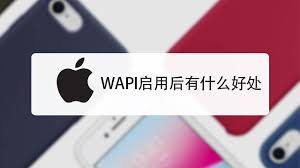 wapi在苹果手机中是什么意思