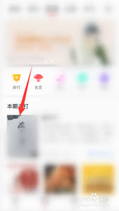 掌阅字体大小怎么调整