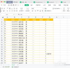 wps电脑如何快速筛选表格数据