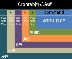 定时任务如何配置每周日执行不生效