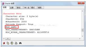 PLSQL Developer中文乱码如何解决