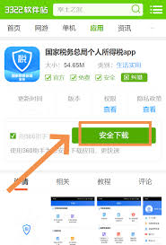 自然人电子税务局app怎么查收入纳税明细