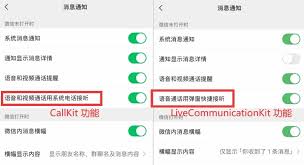 iPhone如何开启CallKit