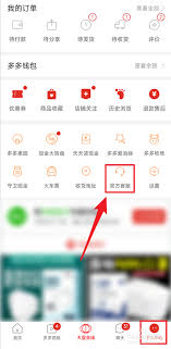 拼多多先用后付额度怎么查看