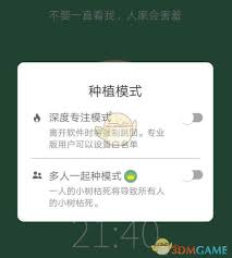 forest如何激活深度专注模式